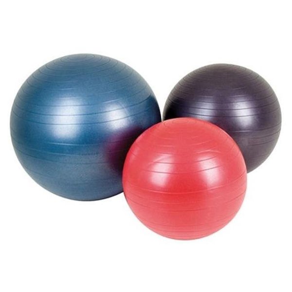 Agm Group AGM Group 38102 25.59 in. Fitness Ball - Dark Purple 38102
